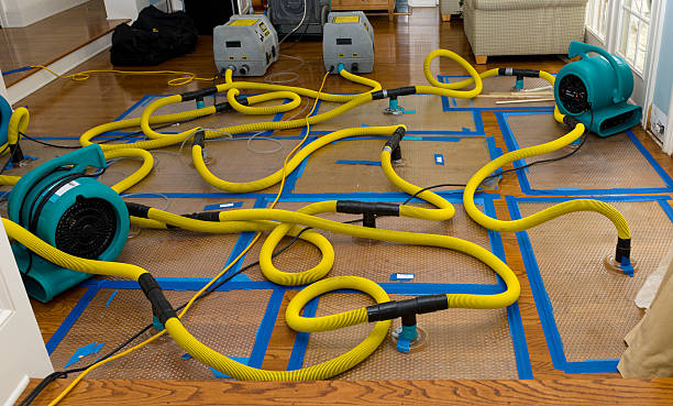 Professional Flood Damage Restoration technician working in Ashton, MD
